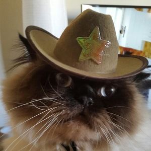 Meet your Posher, Alyaa